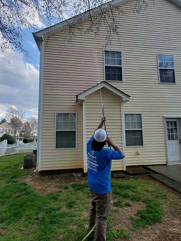 soft washing company Charlotte NC Bluewhale Powerwash