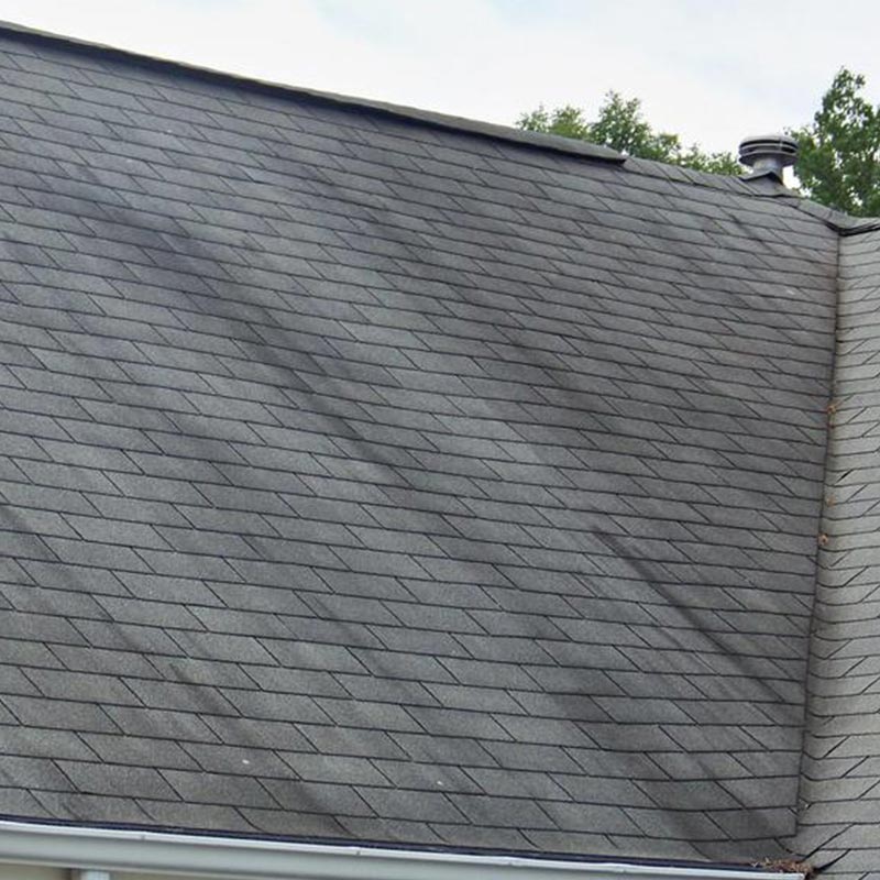 black lines algae on roof Charlotte NC