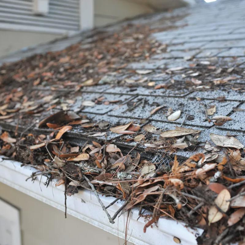 Wood and leaf debris on roof Charlotte NC