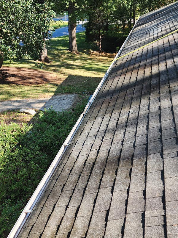 professional gutter cleaning company Charlotte