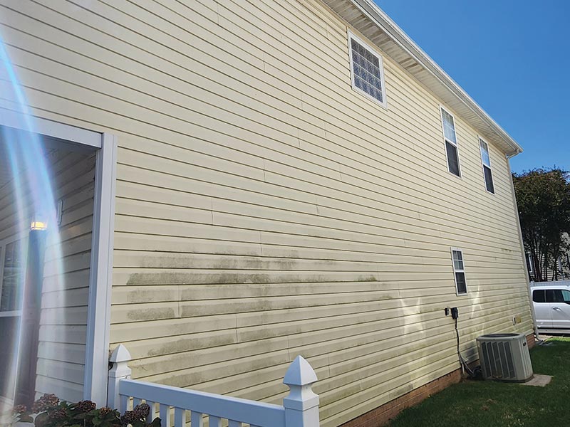 vinyl siding with mildew before