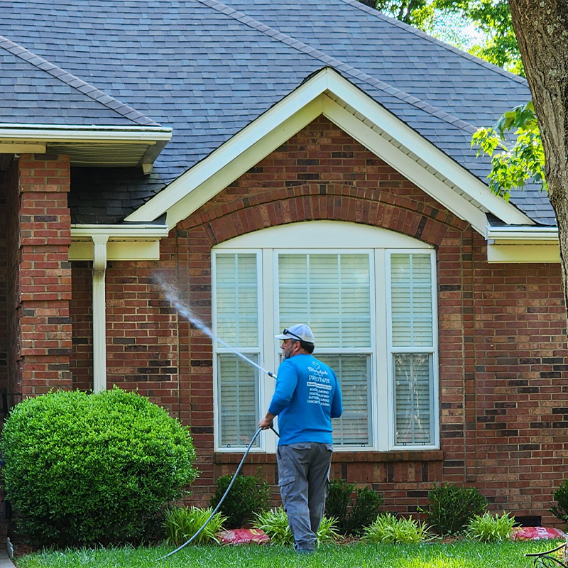 Charlotte house pressure washing services Bluewhale Powerwash