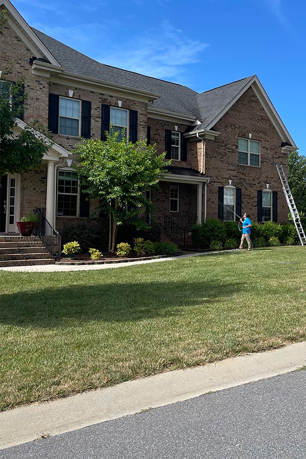 Charlotte pressure washing services Bluewhale Powerwash