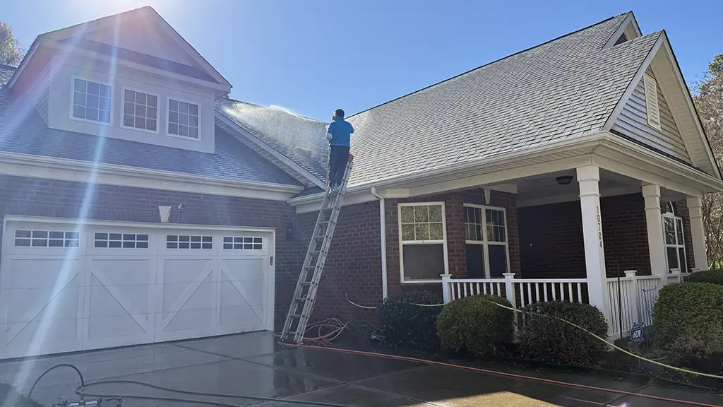roof cleaning service
