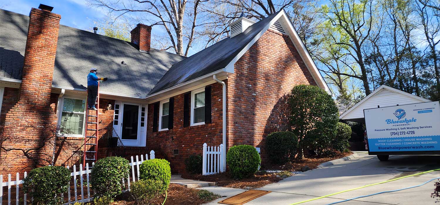roof cleaning company in Belmont